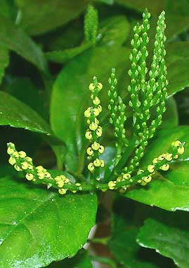 �`�������i�����j�F��