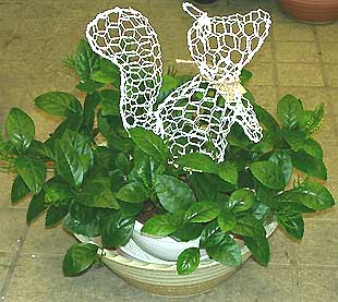 �`�������i�����j�F�N���b�N����Ƒ傫�Ȏʐ^��
                �o�܂�