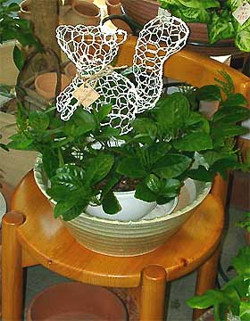 �`�������i�����j�F�֎q��