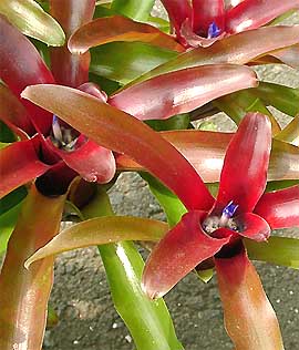 �l�I���Q���A�@�@���I�@�I�u�@���I